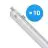 Confezione Multipack 10x Philips Stagna LED CoreLine WT120C G2 42.9W 6000lm - 840 Bianco Freddo | 150cm 